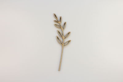 Hoja N°2
