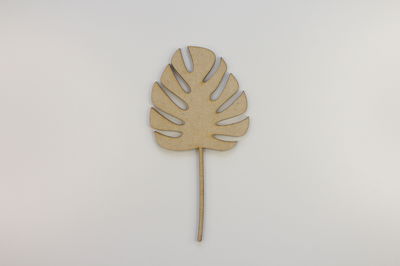 Hoja N°5
