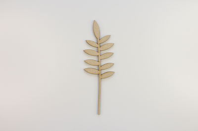 Hoja N°4