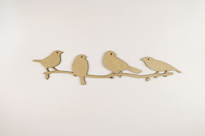 Pajaritos N°10