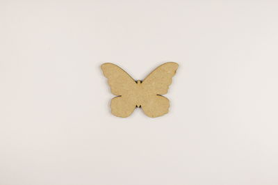 Mariposa Lisa N°1