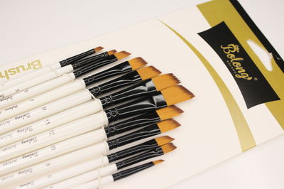Set x12 Pinceles Angulares | BOLONG (blancos)