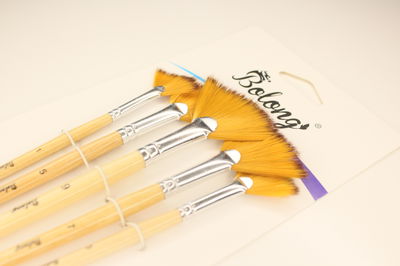 Set x5 Pinceles Abanicos | BOLONG