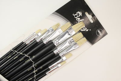 Set x9 Pinceles Chatos | BOLONG Cerda Dura