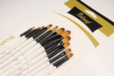 Set x12 Pinceles Lengua de Gato | BOLONG (blancos)