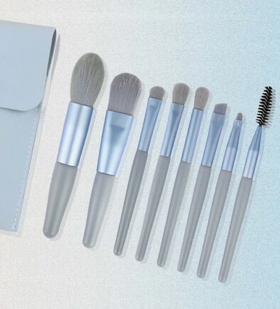 set de brochas con estuche transparente 