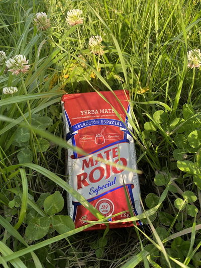 Mate Rojo Especial