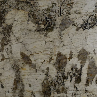 Patagonia Golden