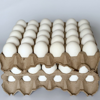 1 MAPLE NRO 1 (30 HUEVOS)