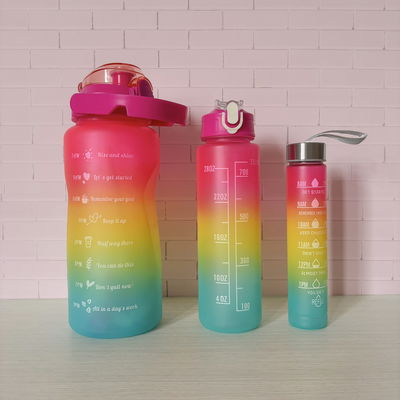 Botella Motivacional Rosa (x3)