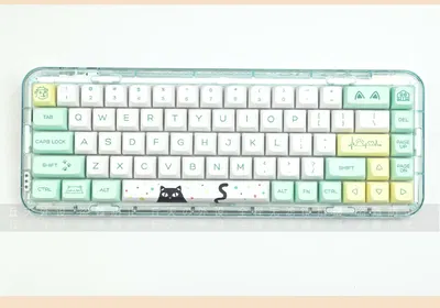 Keycaps PBT QSA Wierd CAT 135 Keys