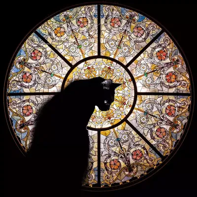 Rompecabezas Cathedral Cat Nautilus Puzzle