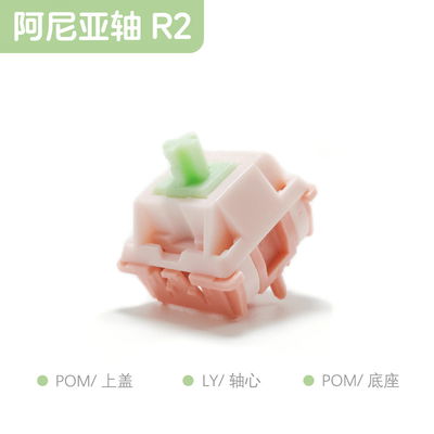 Switch VXE Anya R2 - Lineal