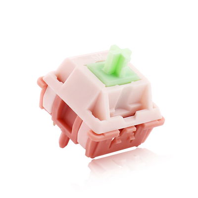 Switch VXE Anya R2 - Lineal