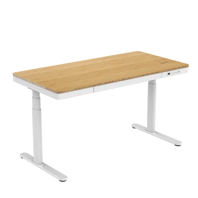 Escritorio elevable 2 Motor 100KG CYT228B/W Pro eléctrico Standing desk