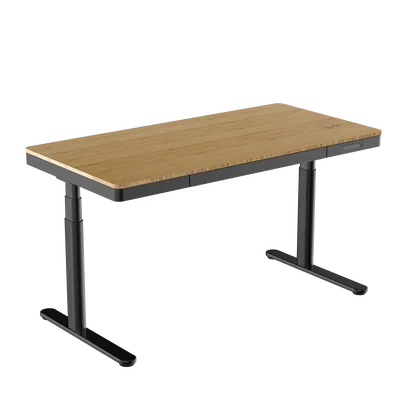 Escritorio elevable 2 Motor 100KG CYT228B/W Pro eléctrico Standing desk