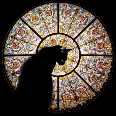 OUTLET Rompecabezas Cathedral Cat Nautilus Puzzle