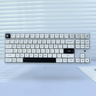 Keycaps PBT SA Black on White 160 Keys