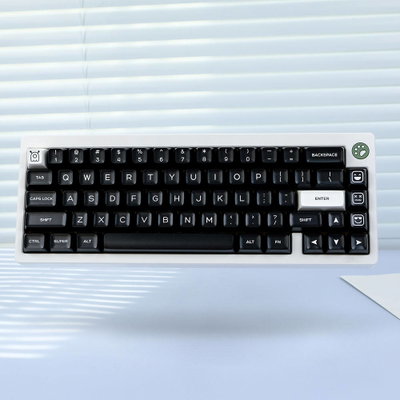Keycaps PBT SA White on Black 160 Keys