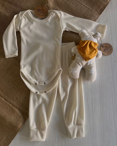 Conjunto de morley natural