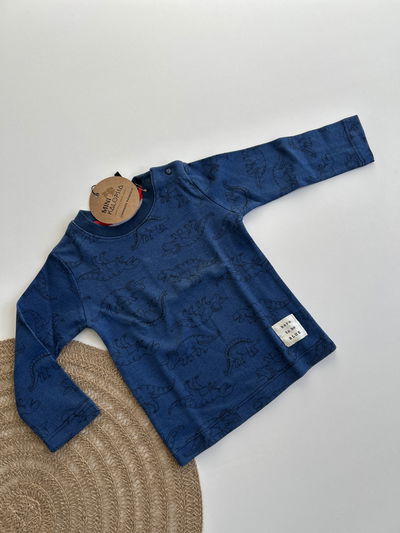 Remera ML azul dinosaurios