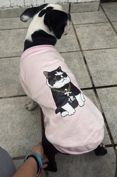 Ropita para mascotas 