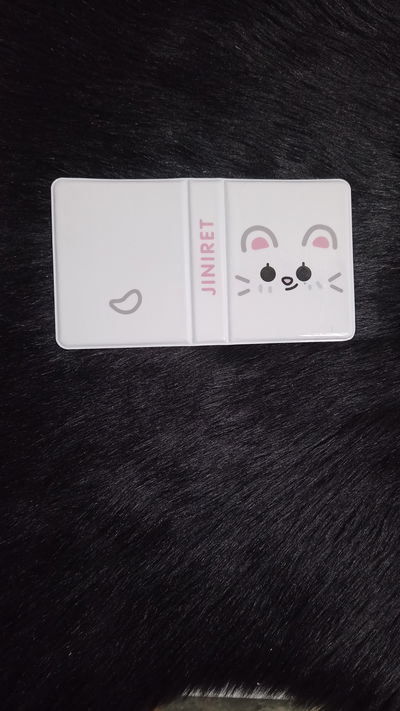 Mini Binder Stray kids Skzoo
