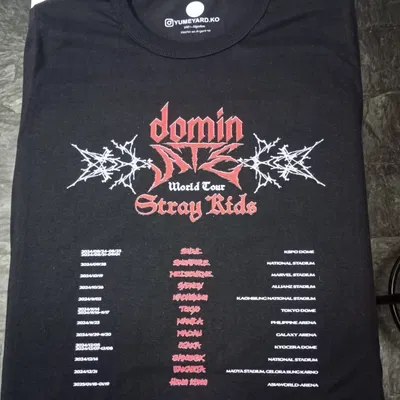 Remera Algodon Personalizado Stray kids alternativa 1