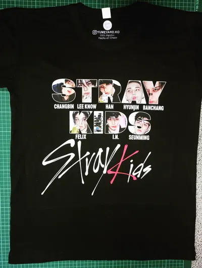 Remera Algodón Personalizado Stray Kids alternativa 3