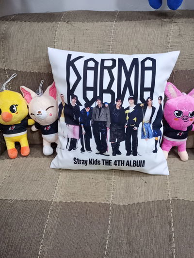 Almohadón KARMA Straykids 40x40cm