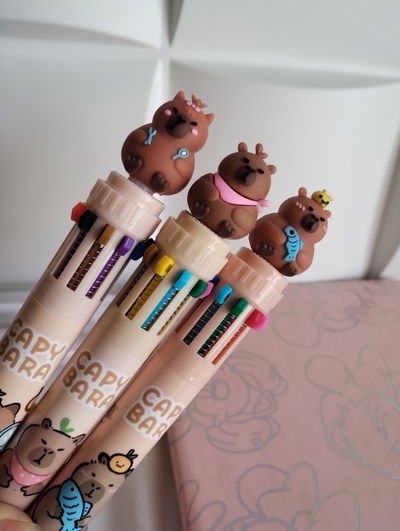 Birome Multicolor x10 de Capybara 
