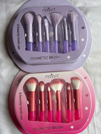SET DE BROCHAS X6
