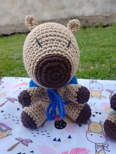 Capibara personalizado