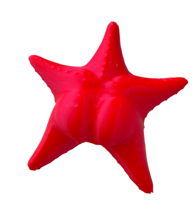 Llavero Estrella de Mar Culona Conicet