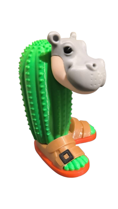 Il Cacto Hipopotamo