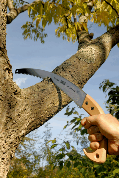 Serrucho de poda con dentado de punta endurecida reafilable con mango de madera