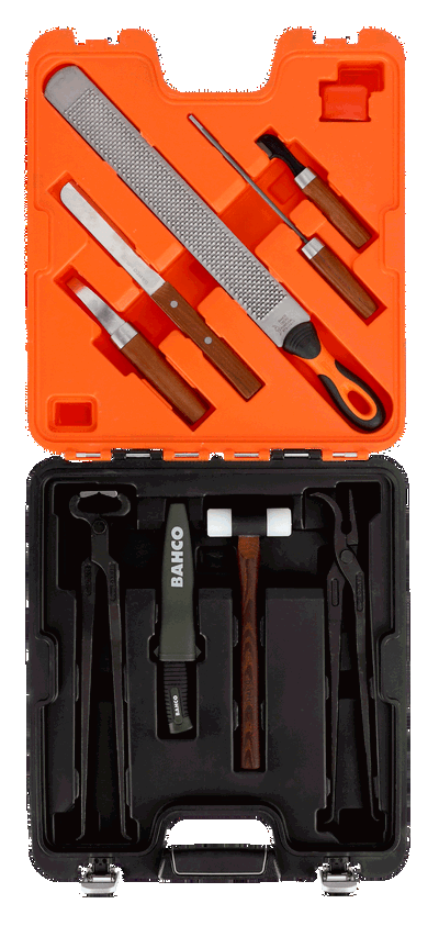  Set de herramientas para herrar caballos, 9 piezas 