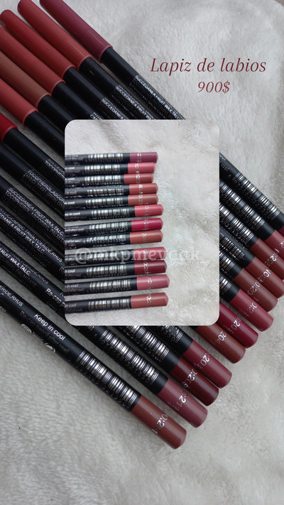 Lapiz de labios oferta