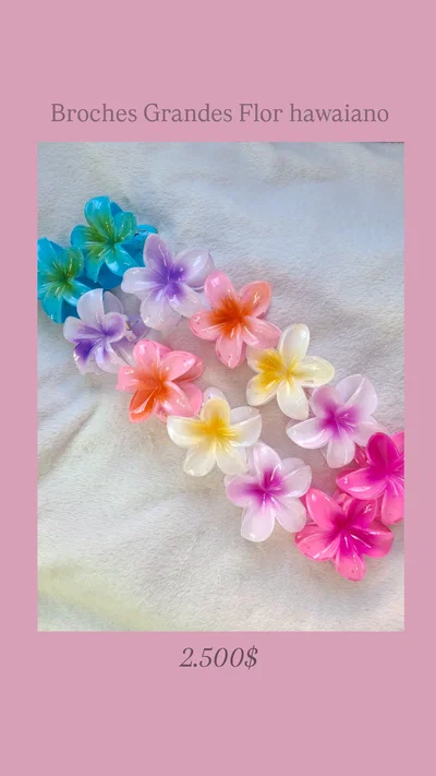 Broches grandes hawaianos