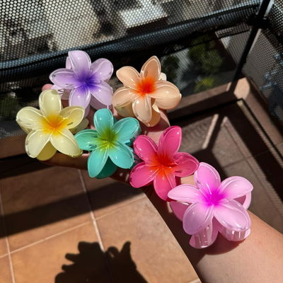 Broches de flor
