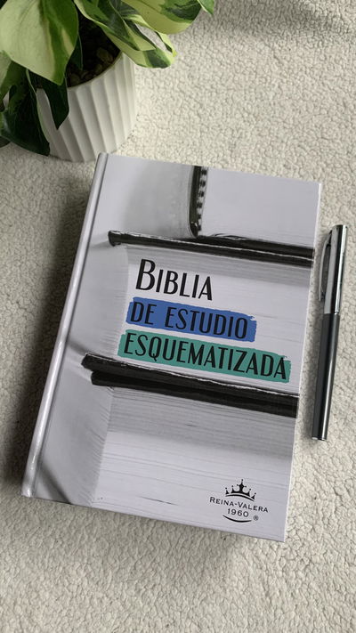 Biblia estudio de esquematizada