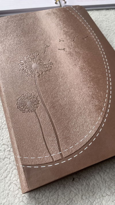 Biblia Reina Valera 1960 de Promesas letra Gigante