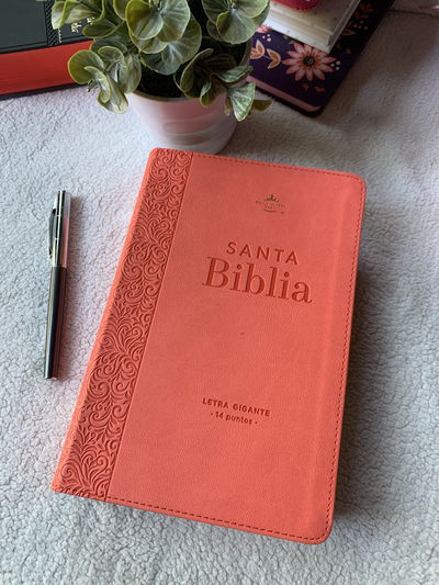 Reina Valera 1960 068C Lgi 14P 14X21 Colección Corinto Coral