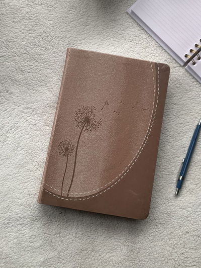 Biblia Reina Valera 1960 de Promesas letra Gigante