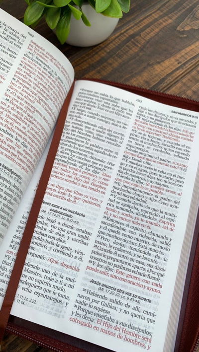 Biblia RVR60 Clásica café