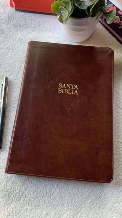 Biblia Holman Reina Valera 1960 Letra Gigante 14P, Marrón