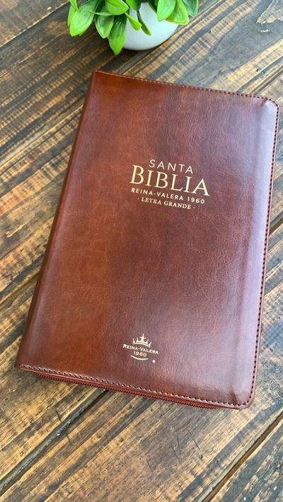 Biblia RVR60 Clásica café