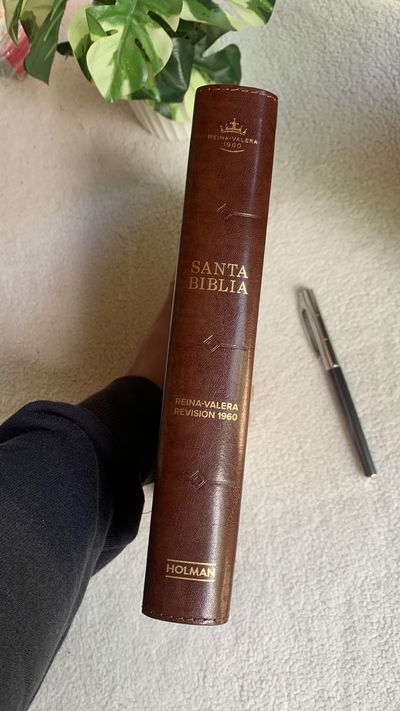 Biblia Holman Reina Valera 1960 Tamaño Manual
