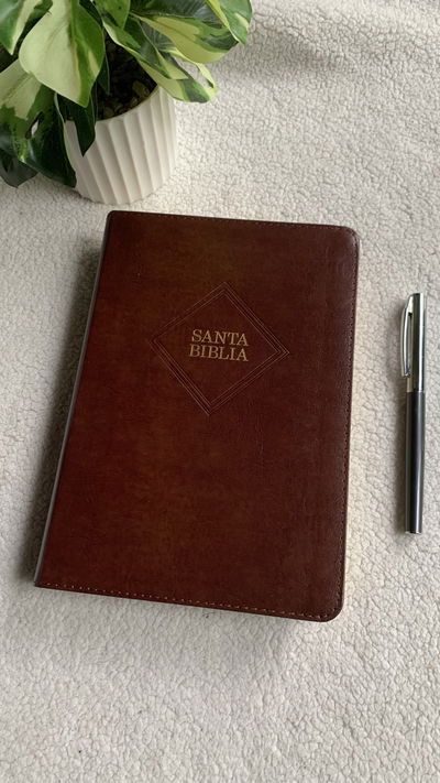 Biblia Holman Reina Valera 1960 Tamaño Manual