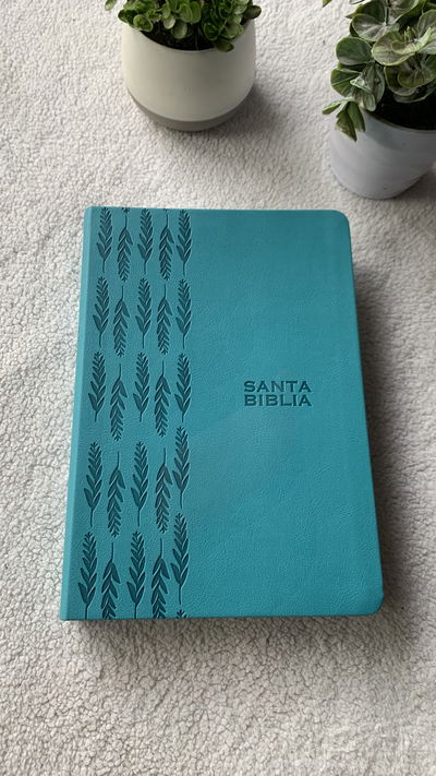 Biblia Reina Valera 1960 de Promesas · Letra gigante · Imitación piel turquesa